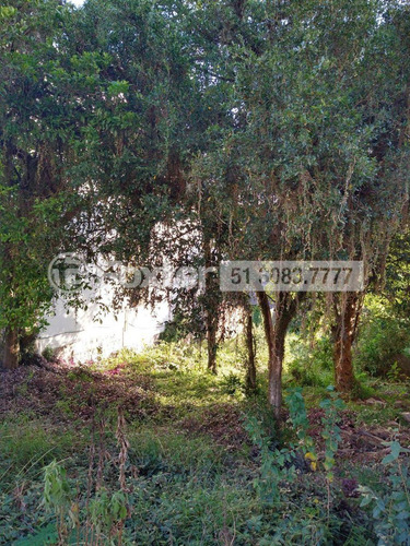Imagem 5 de 8 de Terreno, 540 M², Jardim Isabel - 206293