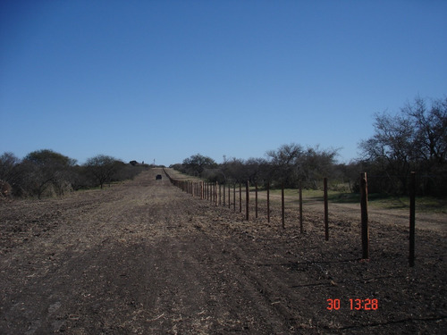 Imagen 5 de 12 de Campo Ganadero 42 Has E.rios Altamirano Sud Ideal Ganadería