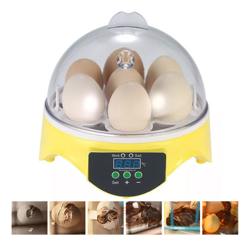7 Ovos Mini Digital Chocadeira Elétrica Automática 110v