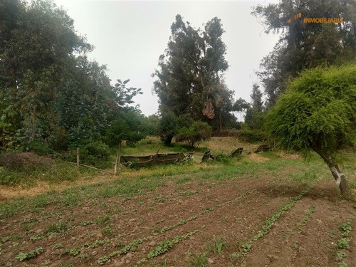 Imagen 8 de 15 de Venta Terreno En Puente Alto, 16.000 M2 Superficie