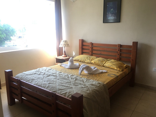 Imagen 4 de 14 de Apartamento Vacacional - Tipo Hotel