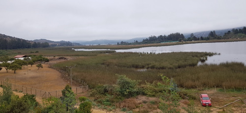 Imagen 7 de 30 de Oferta Terreno En Laguna Torca Lago Vichuquén