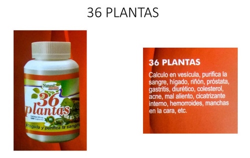Imagen 1 de 1 de Yacon Al 100% Naturalmedix 500mg