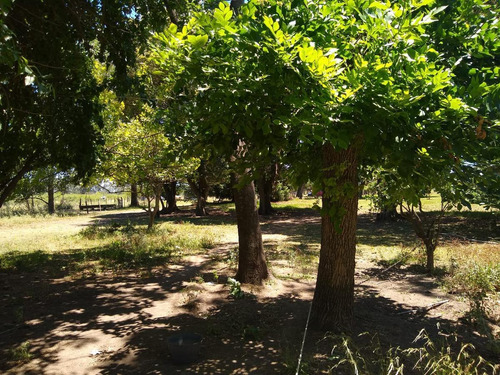 Imagen 9 de 19 de Chacra 4 Hectareas - Los Cardales - Ruta 39
