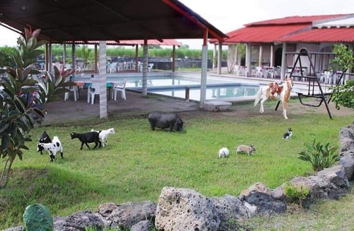 Rancho En Venta, Cesión De Derechos Ejidal