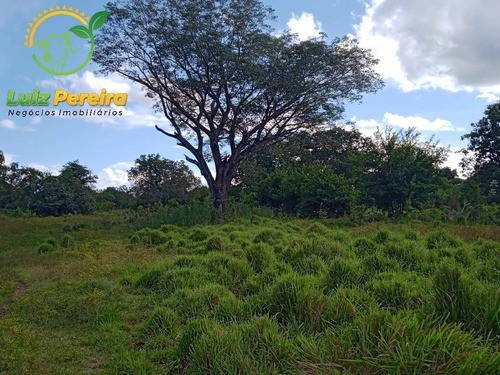 Imagem 2 de 4 de Fazenda À Venda Em Natividade - T0 - De 51 Alqueirões (pecuária) - 1768