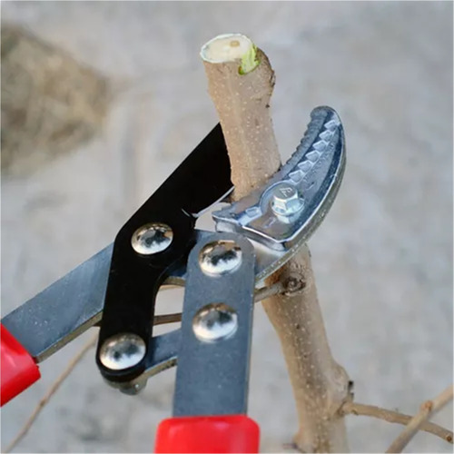 Podadora De Ramas De Jardín Tijeras De Podar Árboles