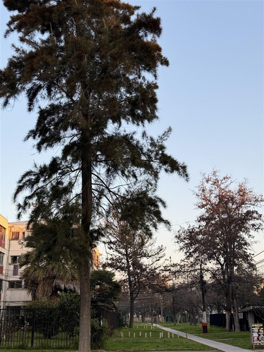 Departamento En Cerrillos
