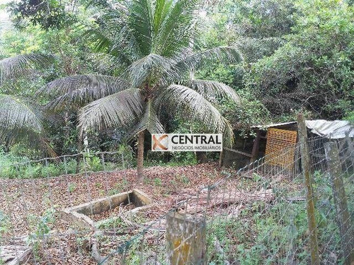 Imagem 9 de 12 de Sítio Com 3 Dormitórios À Venda, 5000 M² Por R$ 450.000,00 - Centro - Lauro De Freitas/ba - Si0014