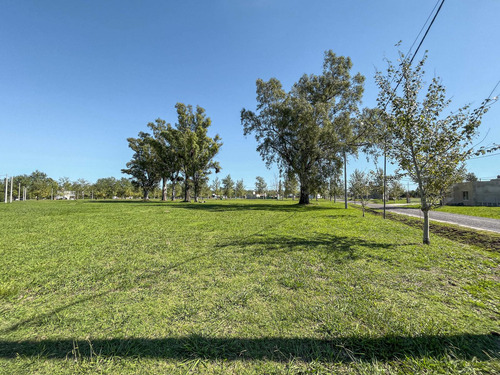 Terreno En Pinares Del Sur Barrio Cerrado, Piñero