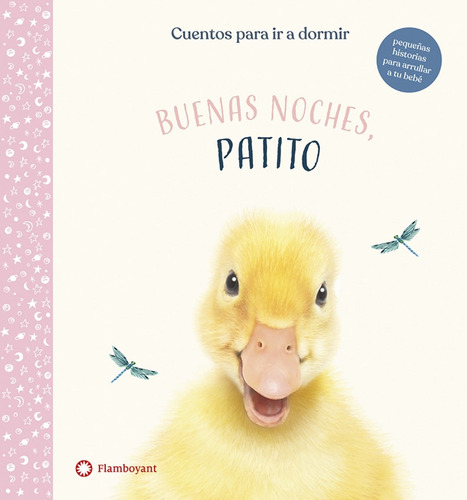 Libro - Buenas Noches, Patito 