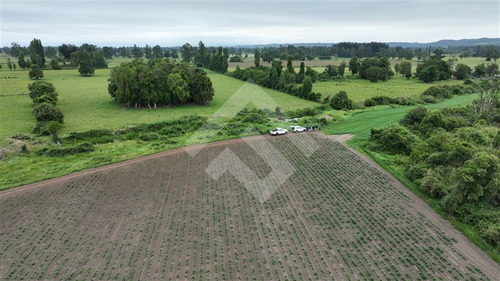 Agrícola En Venta En Lago Ranco La Unión