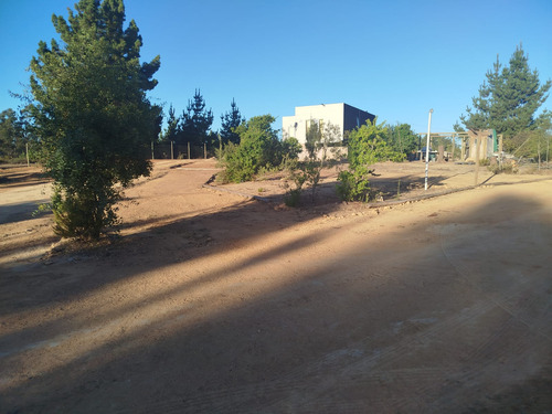 Venta Parcela 5000mts Algarrobo