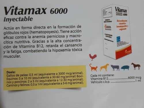Imagen 2 de 2 de Vitamax 6000 Inyectable 10ml Biochem