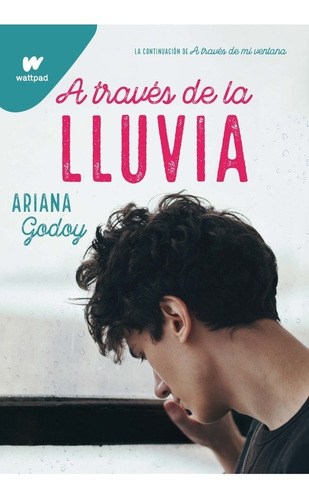 A Traves De La Lluvia - Ariana Godoy