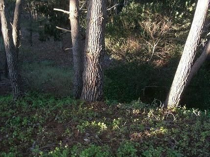 Imagen 3 de 4 de Terreno En Venta En Mar De Las Pampas