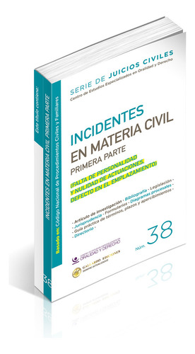 Incidentes En Materia Civil (primera Parte) (falta De Personalidad Y Nulidad De Actuaciones, Defecto En El Emplazamiento)