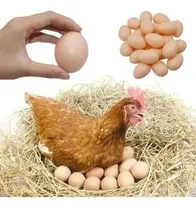 Comprar Kit 10 Ovos Falsos De Plástico Serve Para Indez Galinha