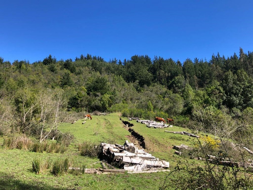 Oportunidad De Inversión Sector El Risco, Pelluhue, El Maule