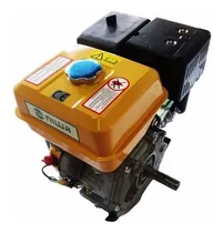 Comprar Motor A Explosion Nafta 4t 13hp Niwa Eje Horizontal