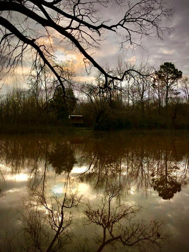 Quinta De 7,6 Hectáreas Con Acceso Terrestre Y Fluvial, Con Cabaña Y Deck.