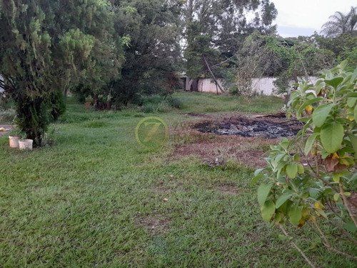 Imagem 2 de 4 de Ótimo Terreno No Quinta Da Bela Olinda - Te305602