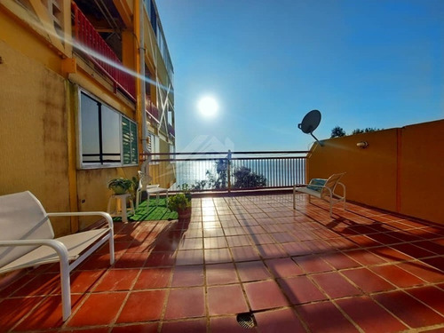 Imagen 10 de 17 de Apartamento En Venta En Lecheria Res. Árbol Para Vivir