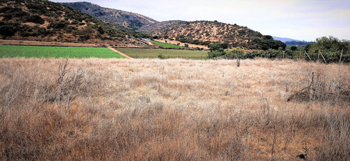 En Venta Parcela De 7.500 M2., En El Huape, Manzanar, Quillo