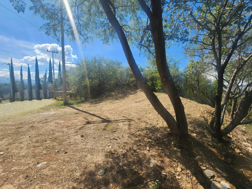 Venta Lote Mirador Iii De Vistas Muy Bonitas, Cerca De La Entrada Y Enormes Dimensiones. Se Incluye Proyecto Arquitectónico En Fracc Rancho San Diego Ixtapan De La Sal Edomex