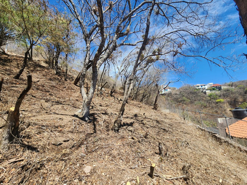 Venta Lote Jazmín De Vistas Espectaculares Con Todos Los Servicios Y Proyecto Incluído Dentro De Fracc Rancho San Diego Ixtapan De La Sal Edomex