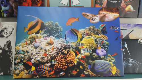 Vinilo Decorativo 20x30cm Peces Coral Oceano Fauna