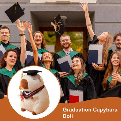 Juguete Capybara Relleno Capybara Graduación Capybara Doll T