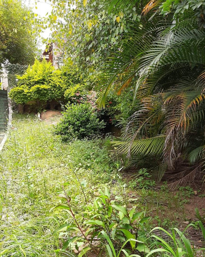 Imagem 12 de 27 de Locação Vila Pauliceia, 2 Casas De 1 Dormitório, Sala, Cozinha, Wc, Lavanderia, 1 Vaga, Quintal E 1 Galpão Grande - Ml66 - 69391179