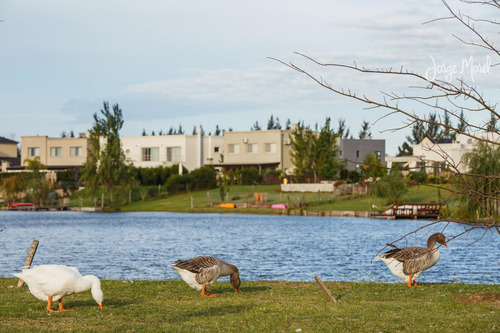 Lote Laguna #100-200 - Villa Nueva - San Benito - 1361m2 #id 6848