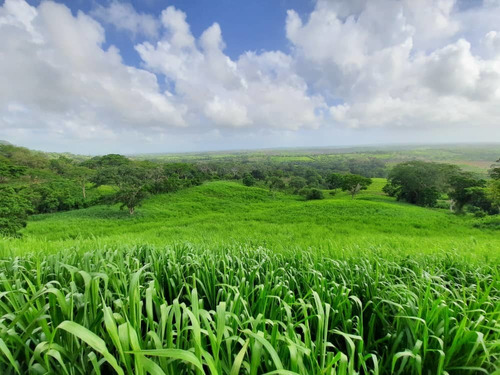 Imagen 2 de 13 de Yohandys Vende Finca En San Juancito Estado Falcón