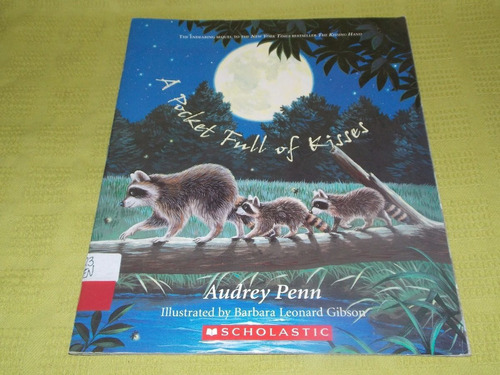 A Pocket Full Of Kisses - Audrey Penn - Scholastic