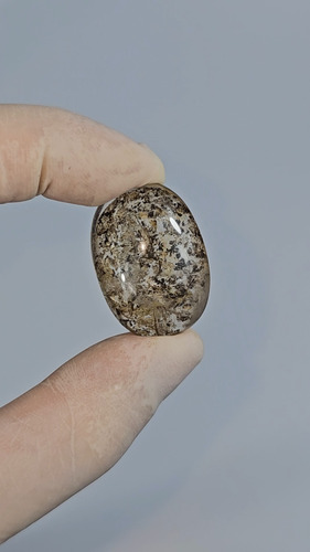 Pedra Dendrita Natural Cristal Quartzo Precioso Raro 43,48ct