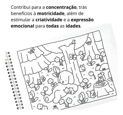 Kit 36 Canetinhas Ponta Dupla Touch + Livro De Colorir Bobbie Goods Capa Dura