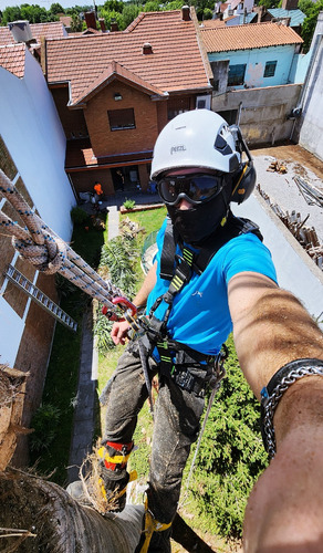 Poda De Arboles Tala Extracciones De Raiz Escalador Palmeras