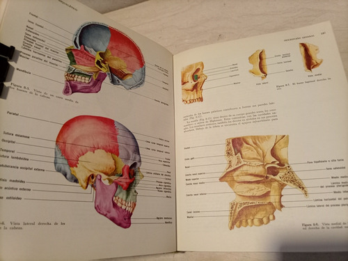 Libro. Principios De Anatomía Humana (Usado)