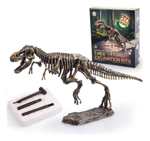 Set De Construcción Arqueológico Plesiosaurio Para Niños