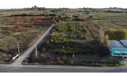 Imagen 4 de 7 de Terrenos En Venta En Victoria Entre Rios