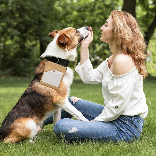Bolsas De Golosinas Para Perros Bolsa De Entrenamiento Bolsa