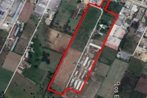 Imagen 9 de 11 de Cd. Camión. Industrial Park.