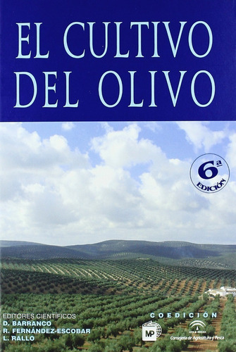 Barranco: El Cultivo De Olivo, 6ª
