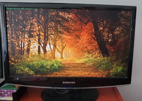 Monitor 22'' Samsung Syncmaster 2233