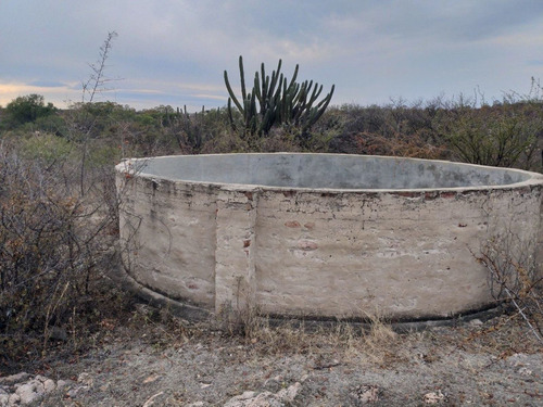Imagen 3 de 5 de Vendo 380 Hectareas En Paso Viejo, Zona Cruz Del Eje