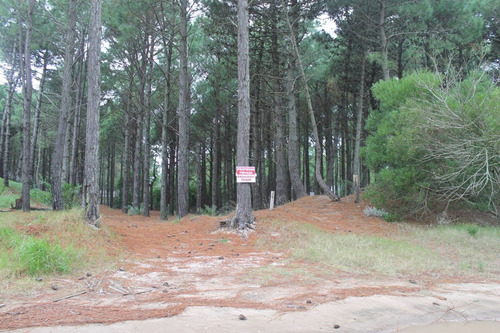 Imagen 2 de 2 de Lote En Venta - Zona Penelope / Ref: 1521