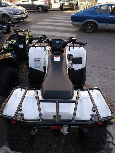 Imagen 10 de 16 de Kawasaki Brute Force 300 (no Honda 420) 12 Y 18 Sin Interes