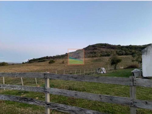 Imagen 3 de 7 de Establecimiento Campo Ganadero 237hás Grutas De Salamanca